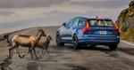 Volvo V90 T6 R-Design 2017 года (NA)